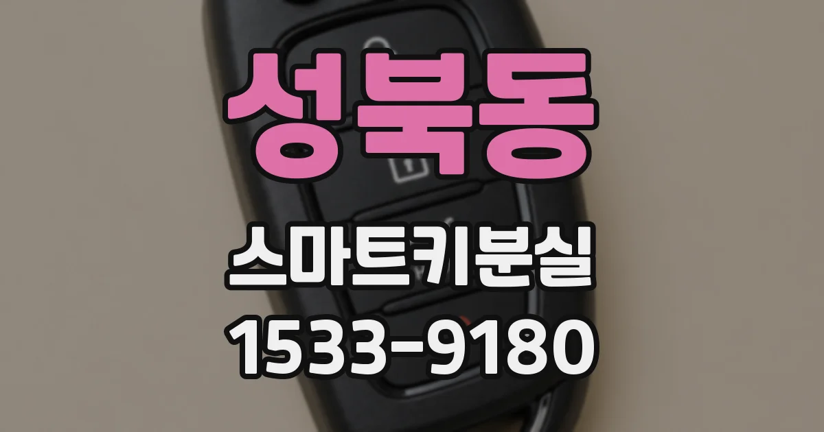 성북동 스마트키분실