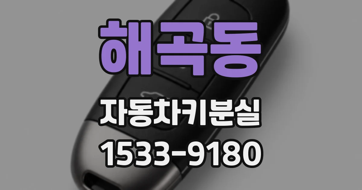 해곡동 자동차키분실