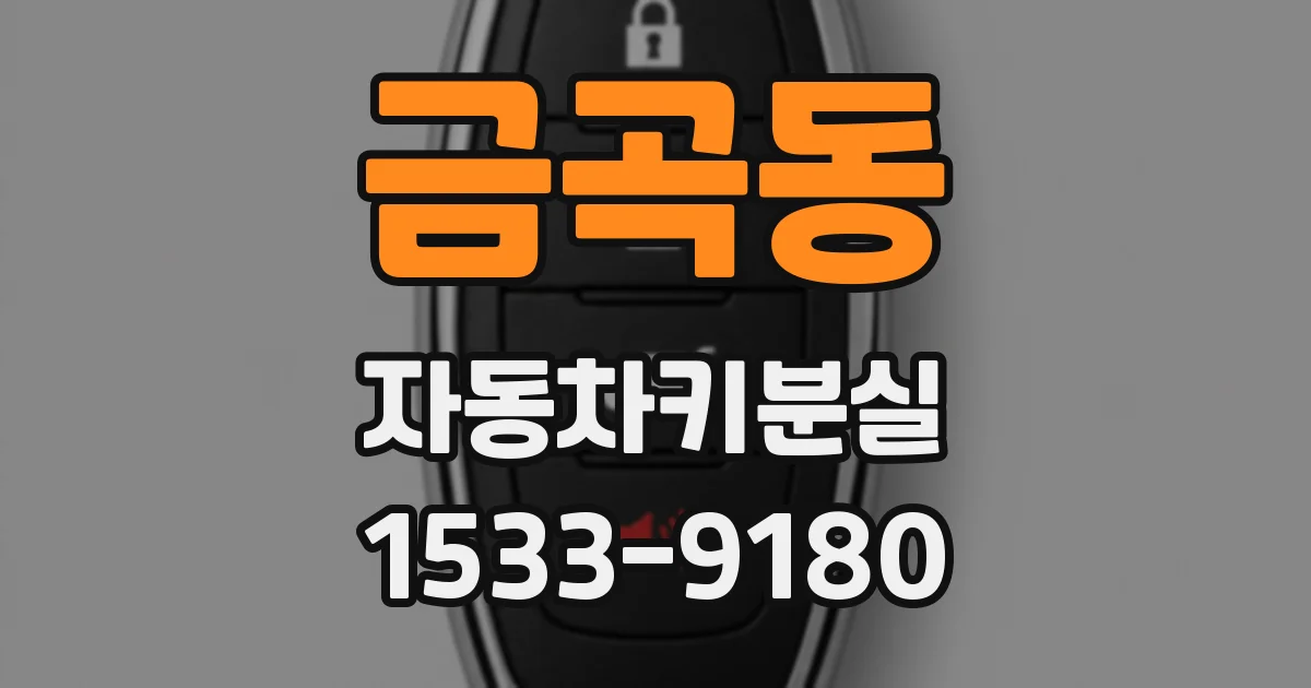 금곡동 자동차키분실