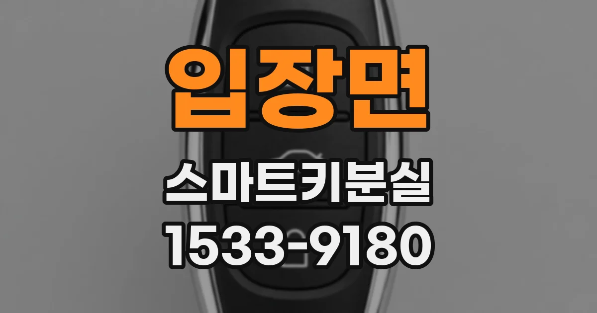 입장면 스마트키분실