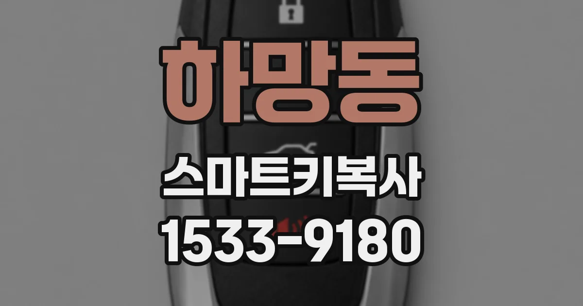 하망동 스마트키복사