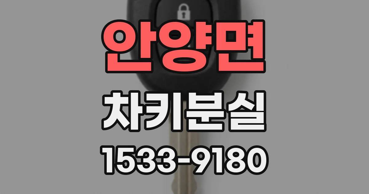 안양면 차키분실