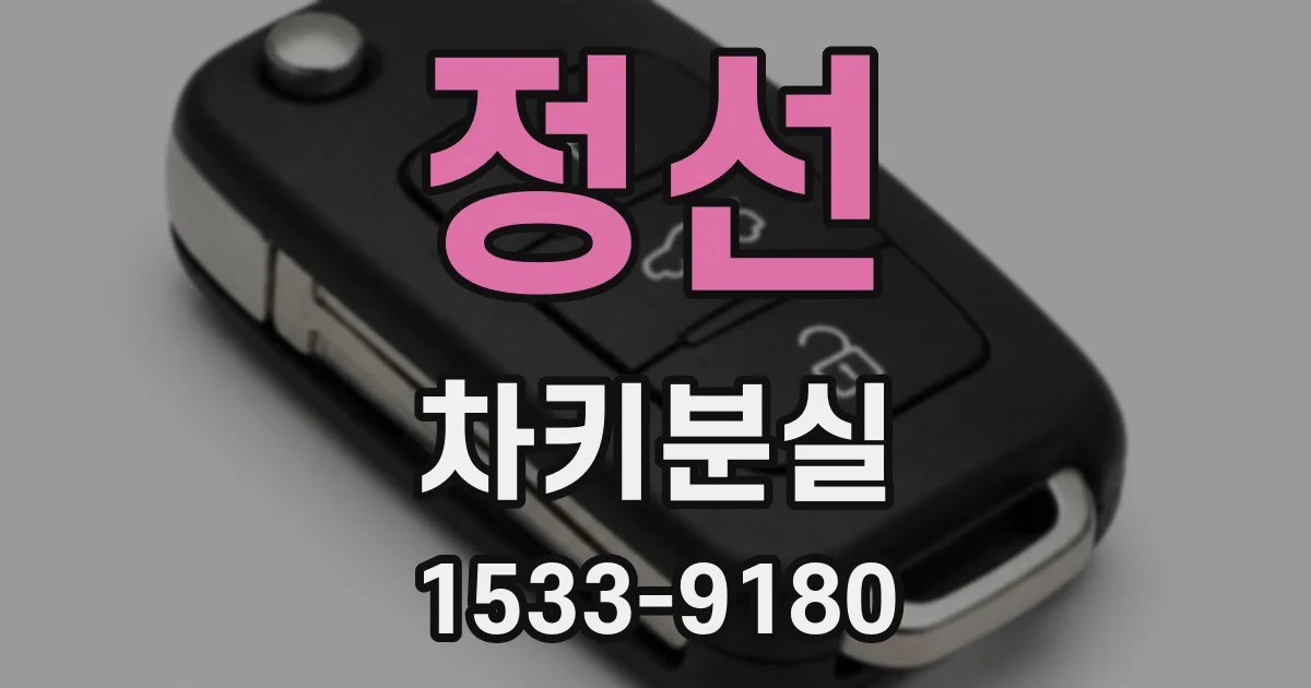 정선 차키분실