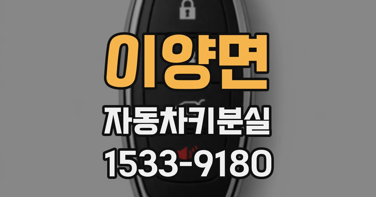 이양면 자동차키분실