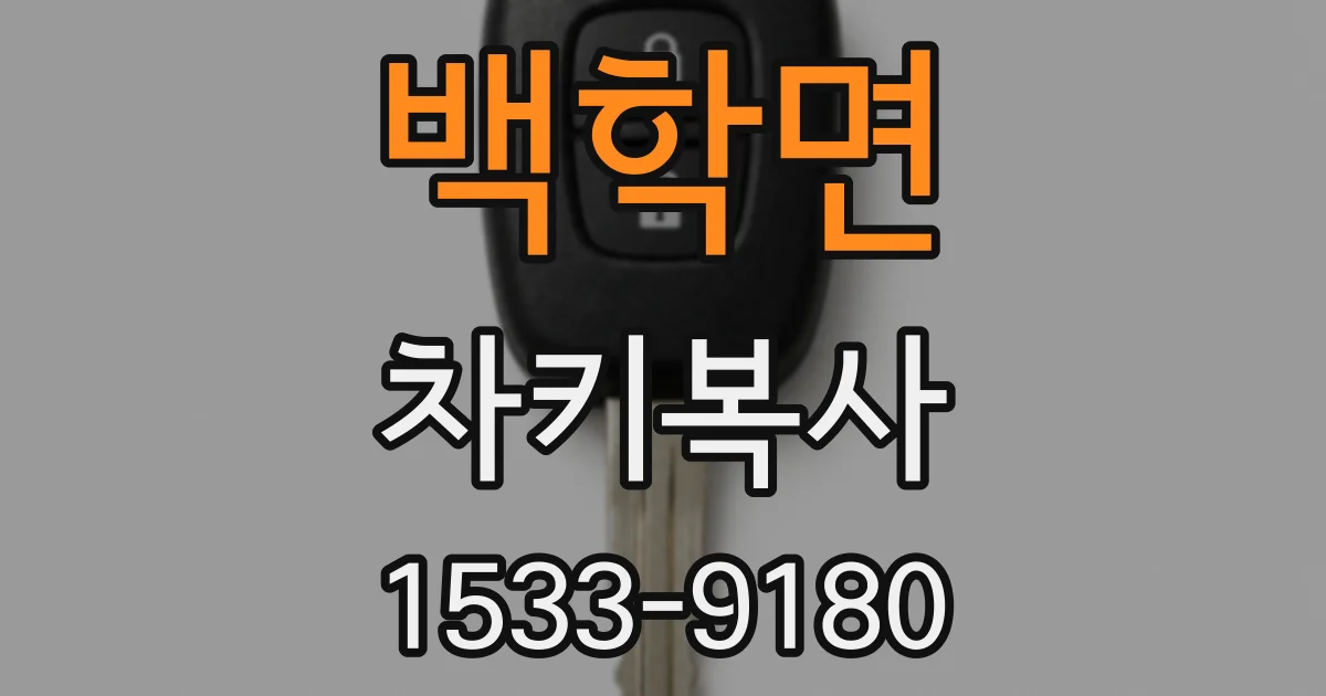 백학면 차키복사