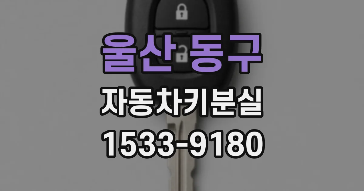 울산 동구 자동차키분실