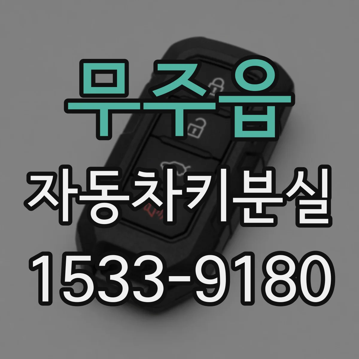 무주읍 자동차키분실