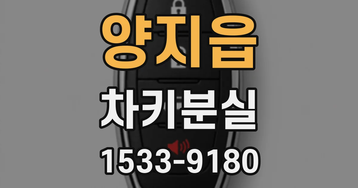 양지읍 차키분실