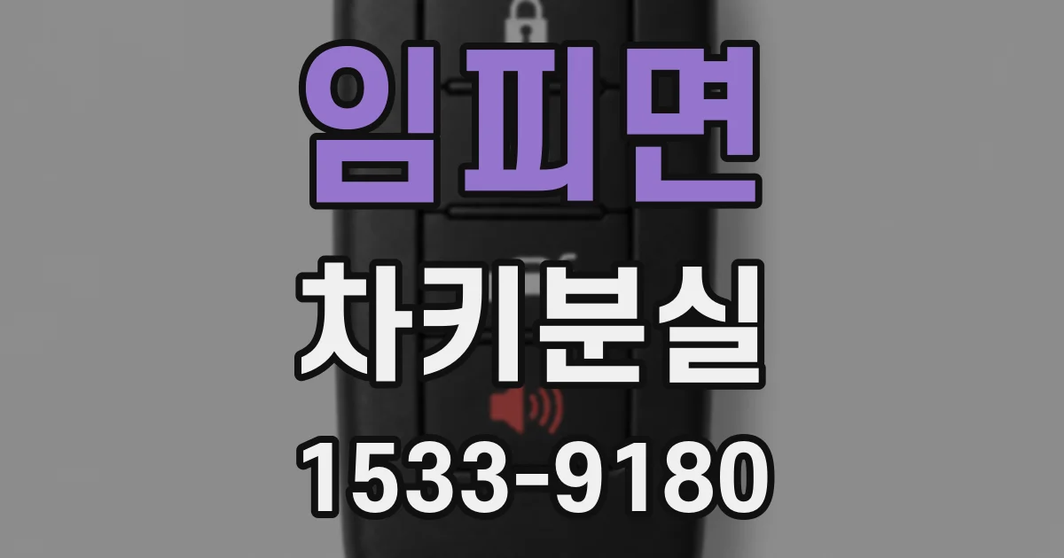 임피면 차키분실
