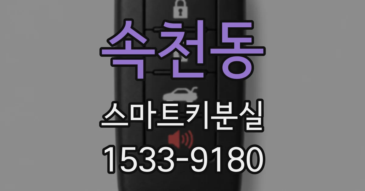 속천동 스마트키분실