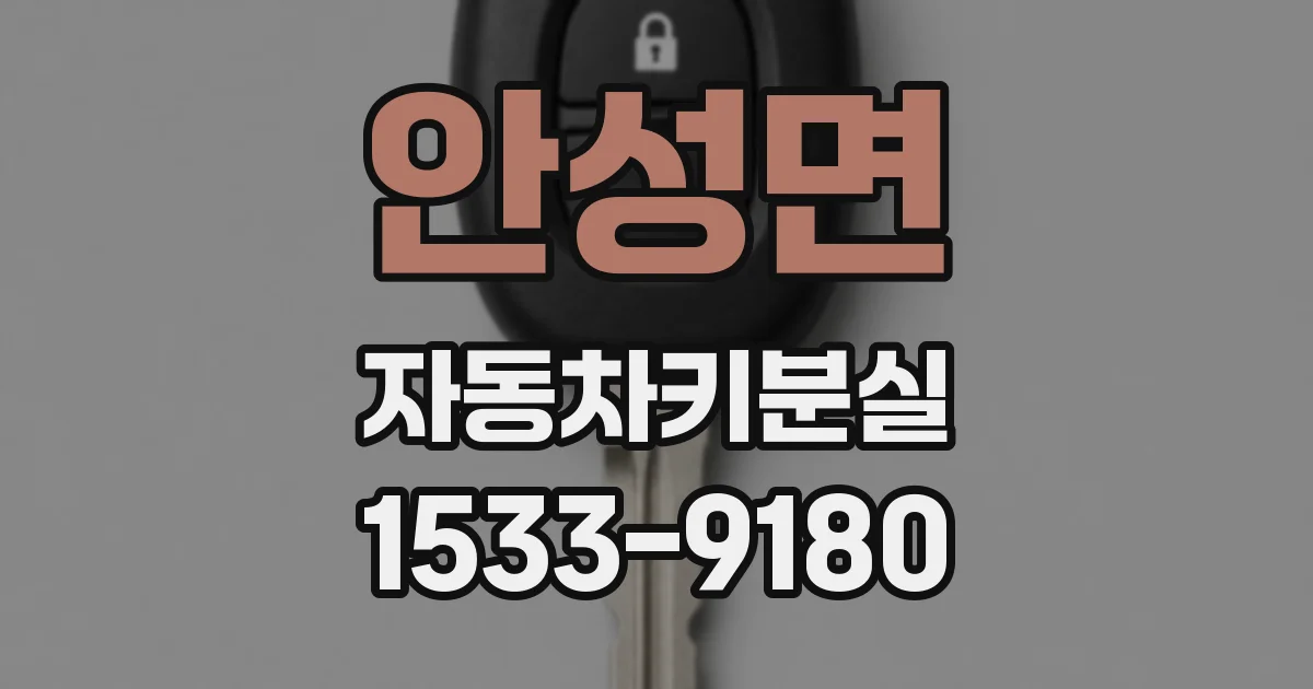 안성면 자동차키분실