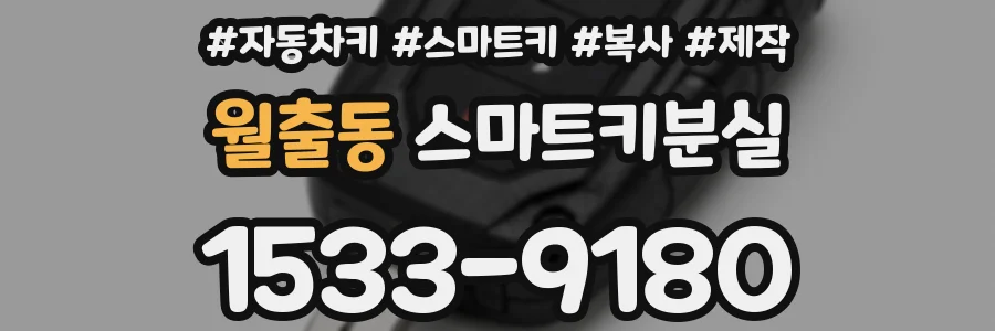 월출동 스마트키분실