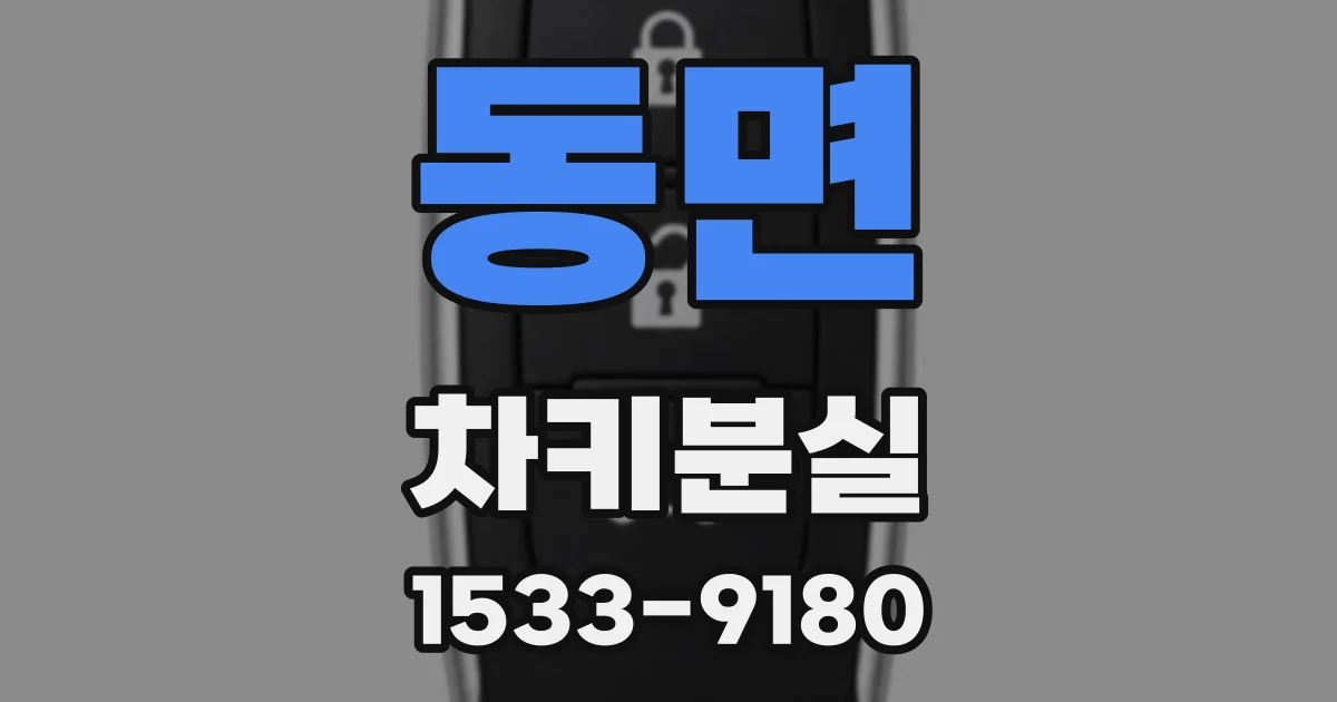 동면 차키분실