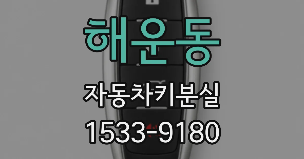 해운동 자동차키분실