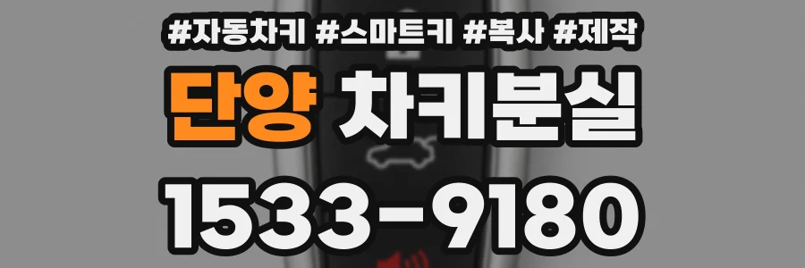 단양 차키분실