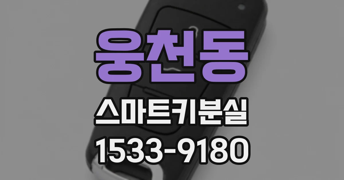 웅천동 스마트키분실
