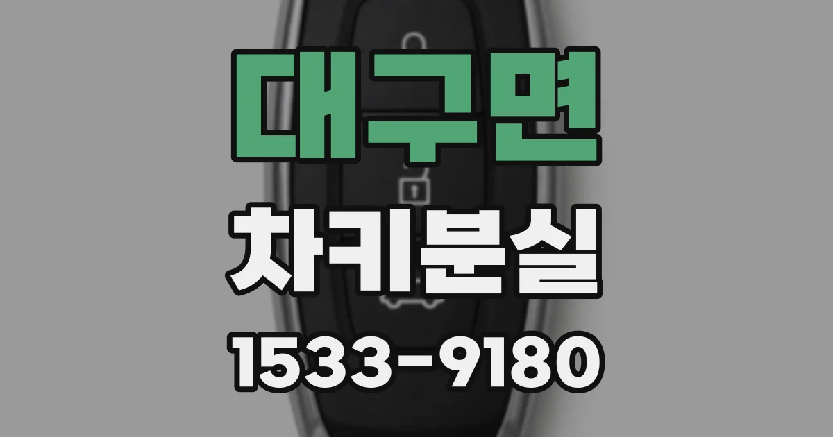 대구면 차키분실