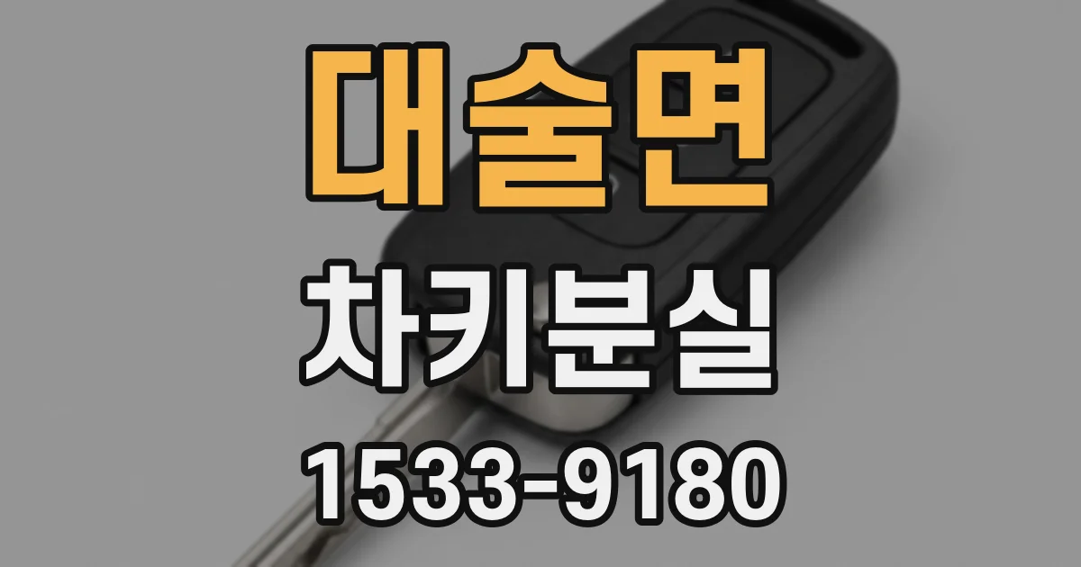 대술면 차키분실