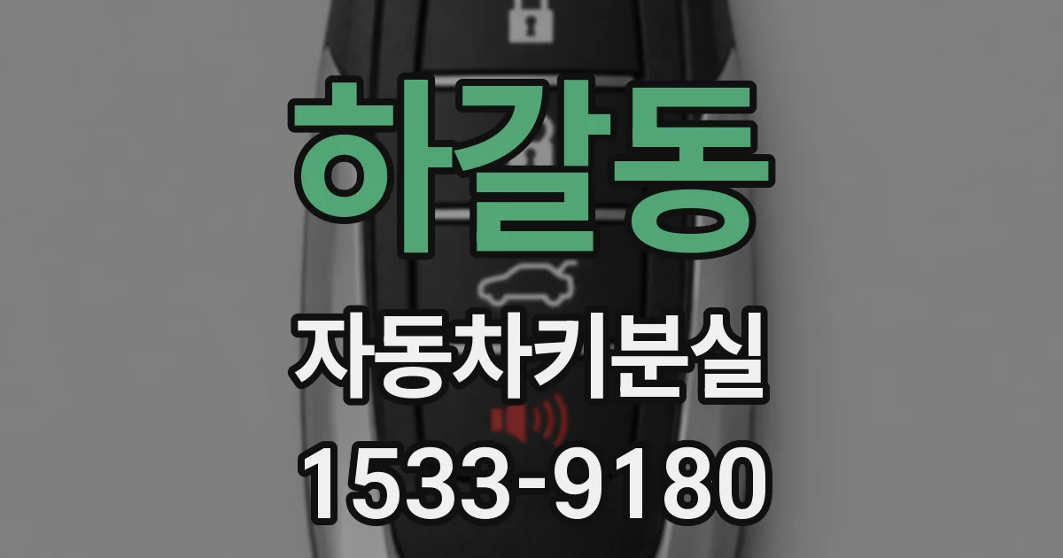 하갈동 자동차키분실