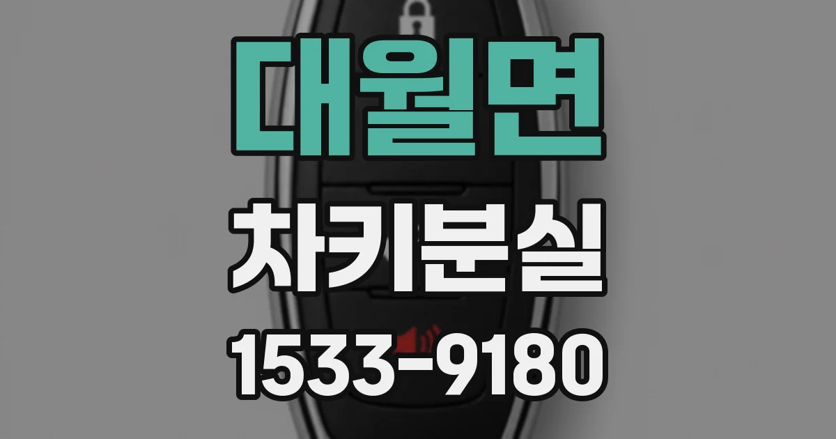 대월면 차키분실