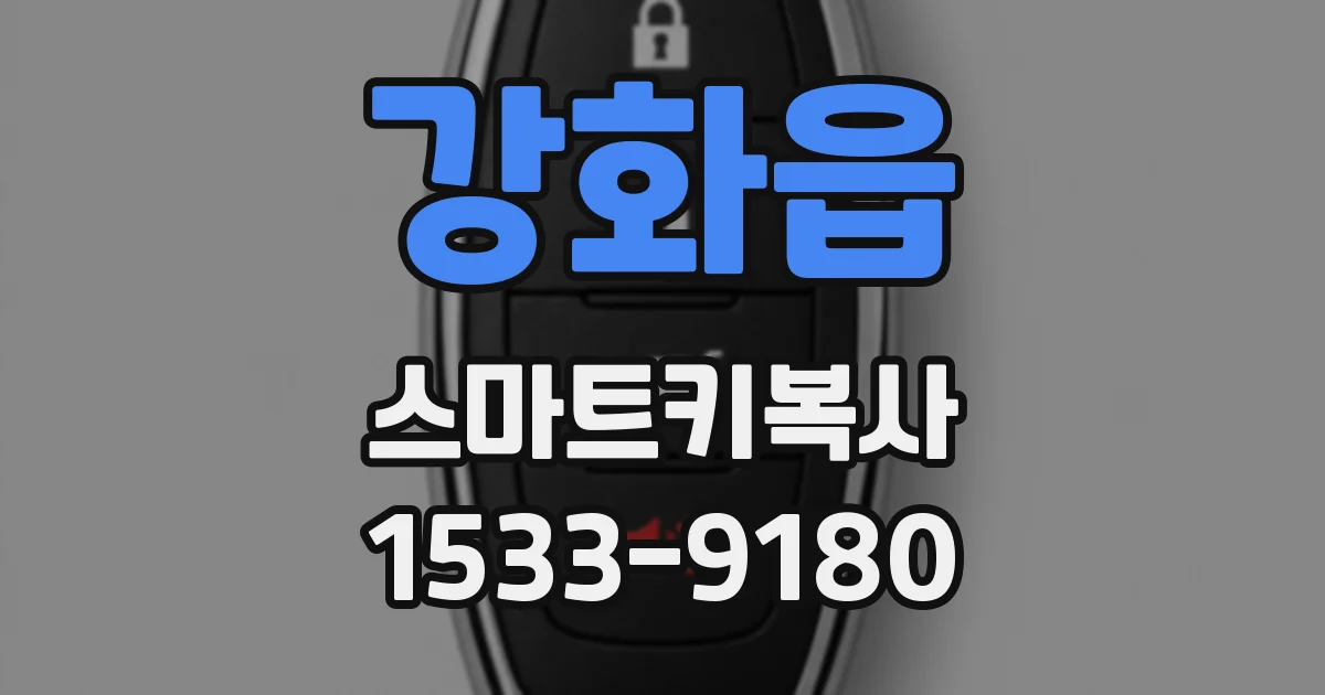 강화읍 스마트키복사