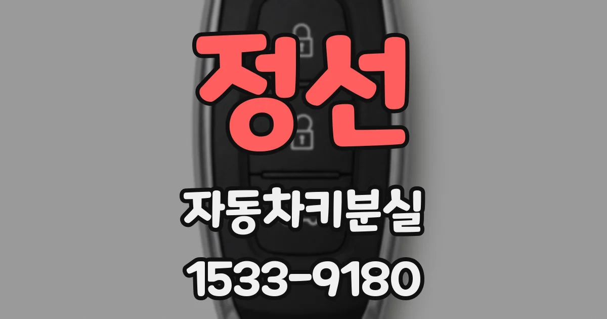 정선 자동차키분실
