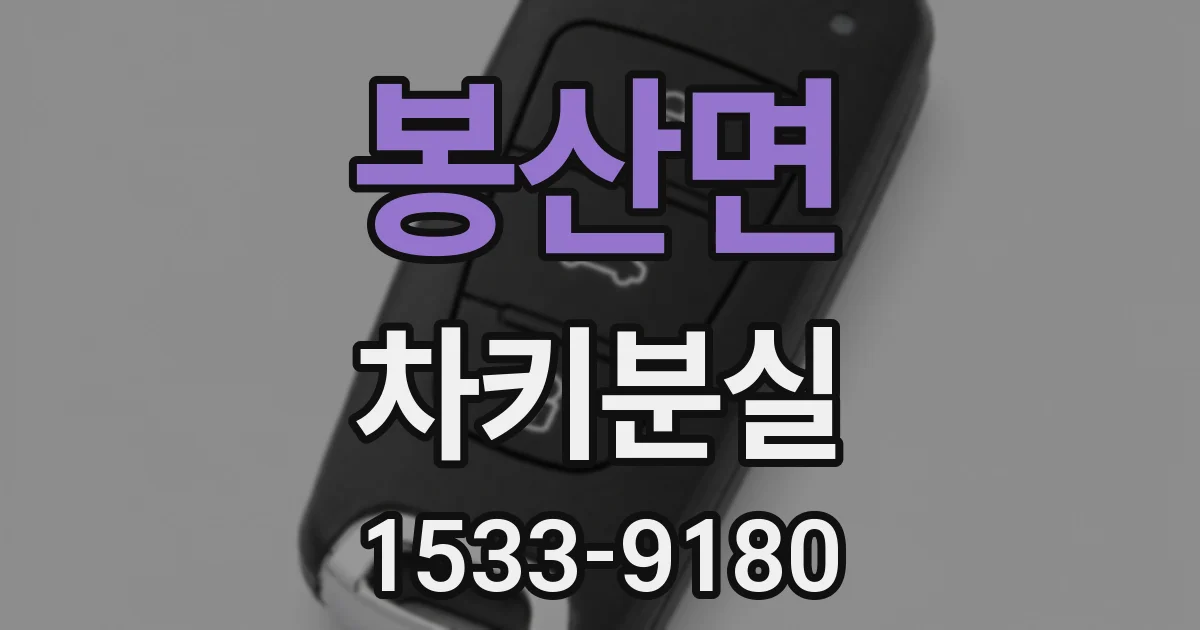 봉산면 차키분실
