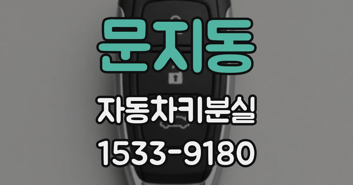 문지동 자동차키분실