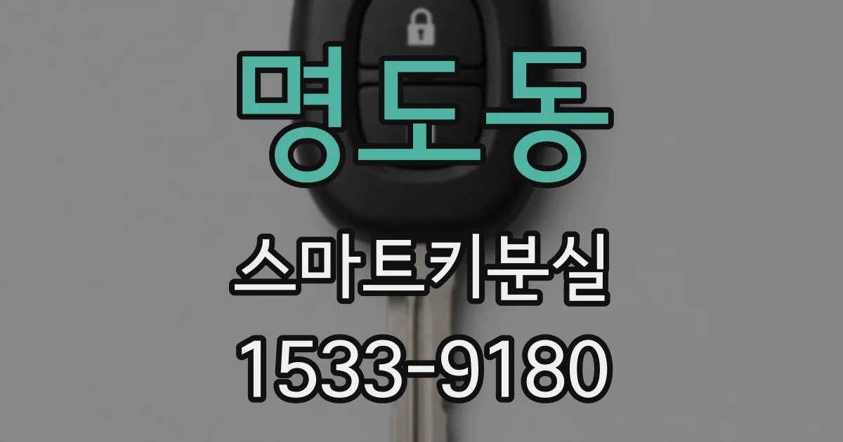 명도동 스마트키분실