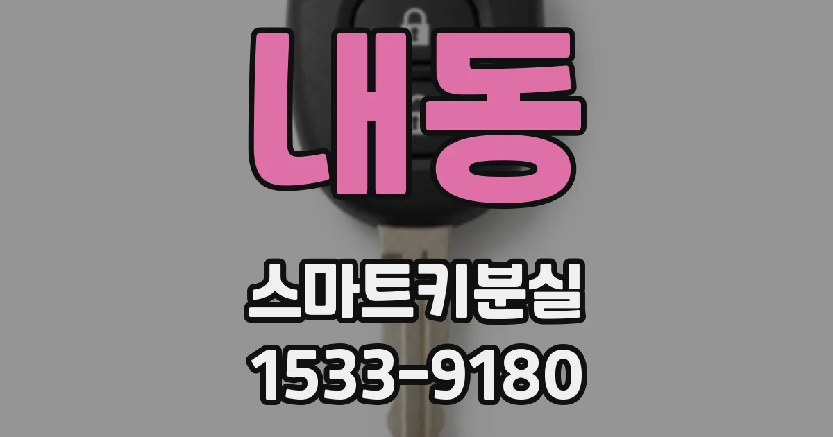 내동 스마트키분실