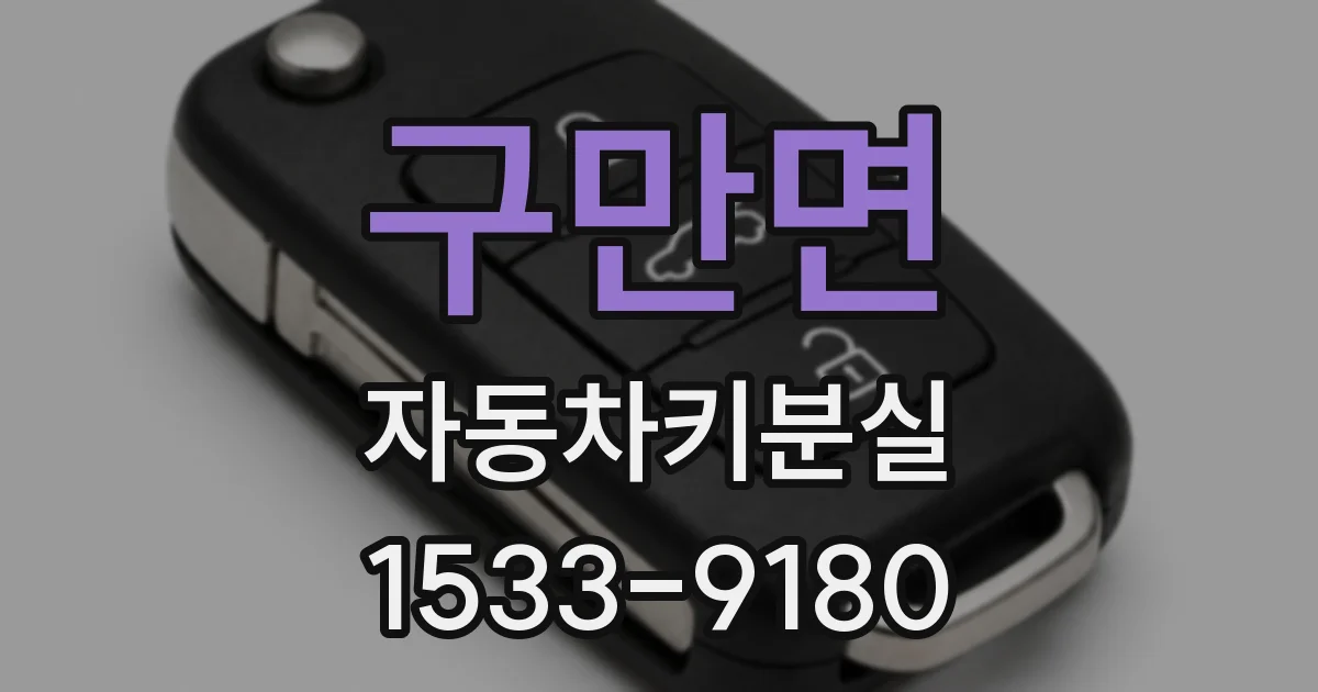 구만면 자동차키분실