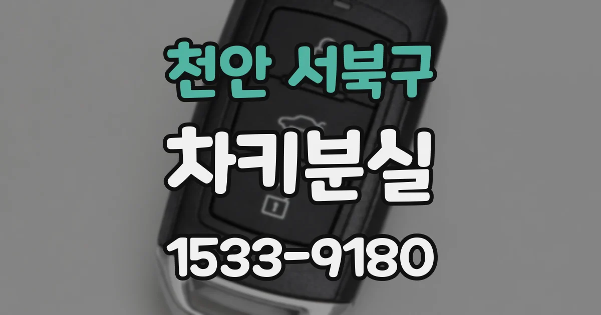 천안 서북구 차키분실