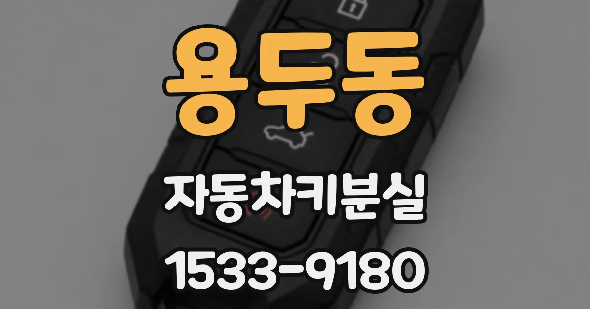 용두동 자동차키분실