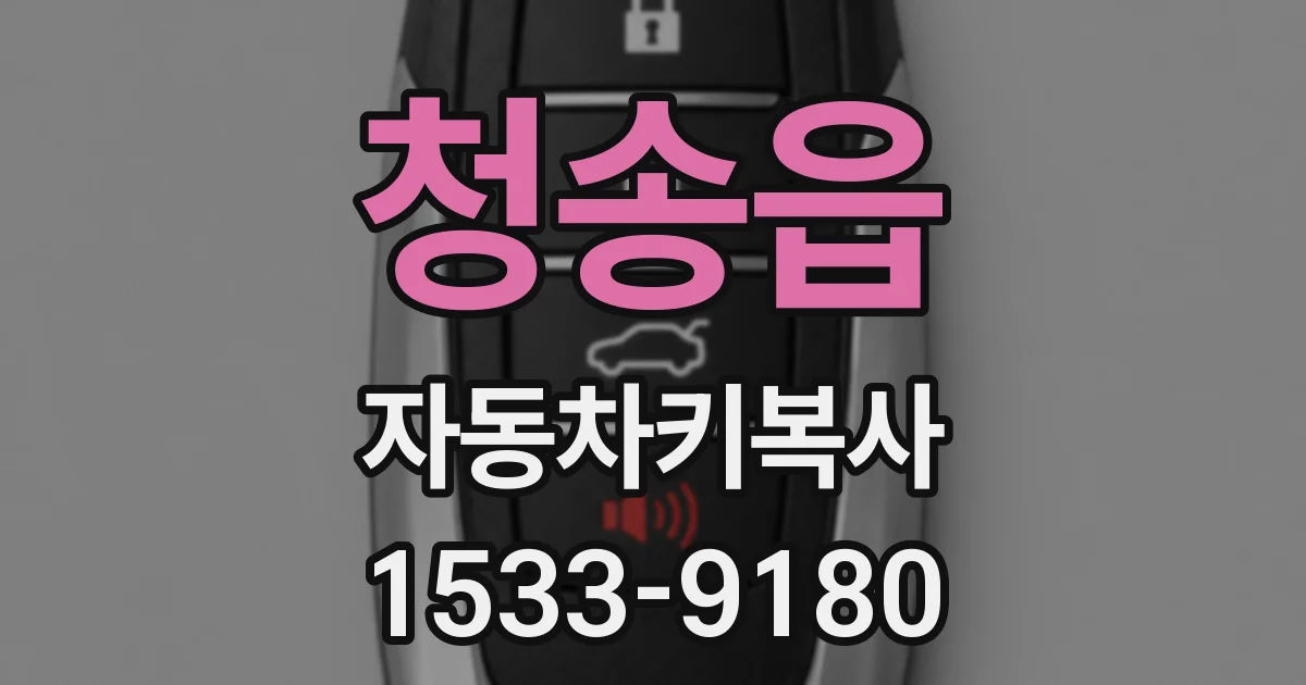 청송읍 자동차키복사
