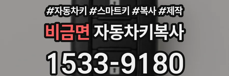비금면 자동차키복사