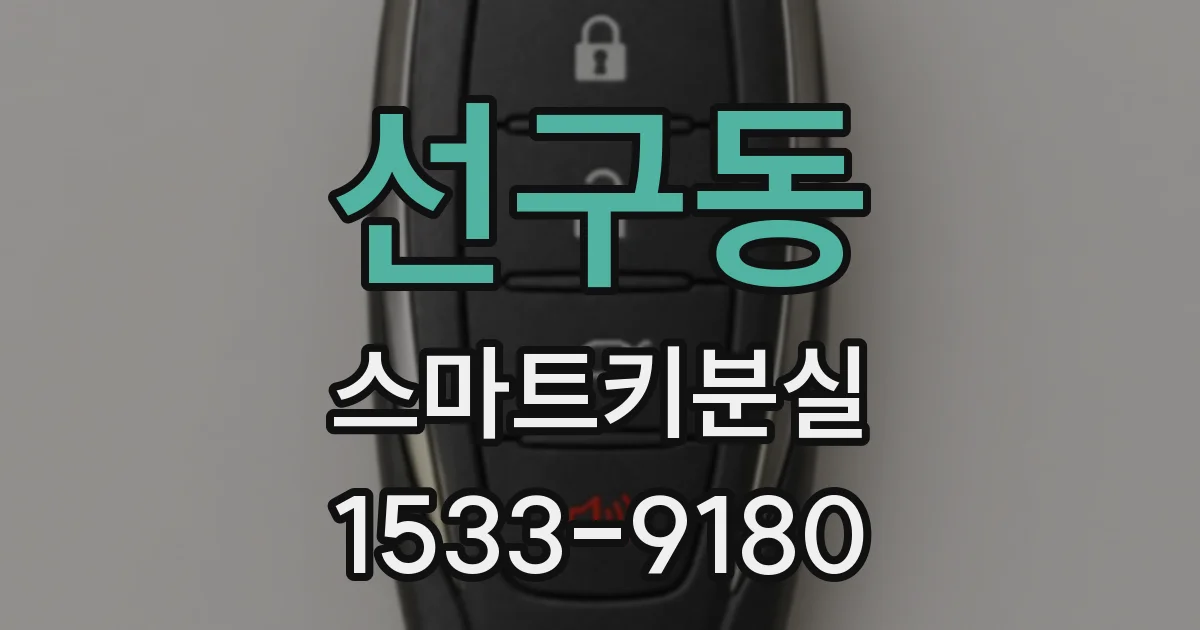 선구동 스마트키분실