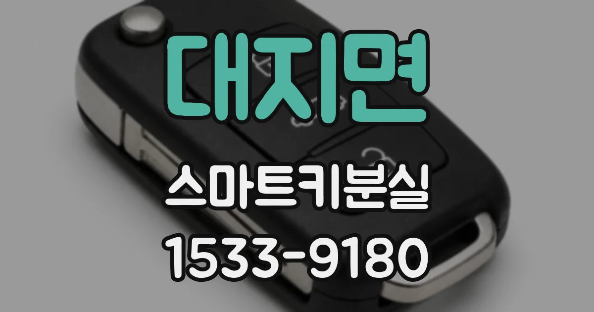 대지면 스마트키분실