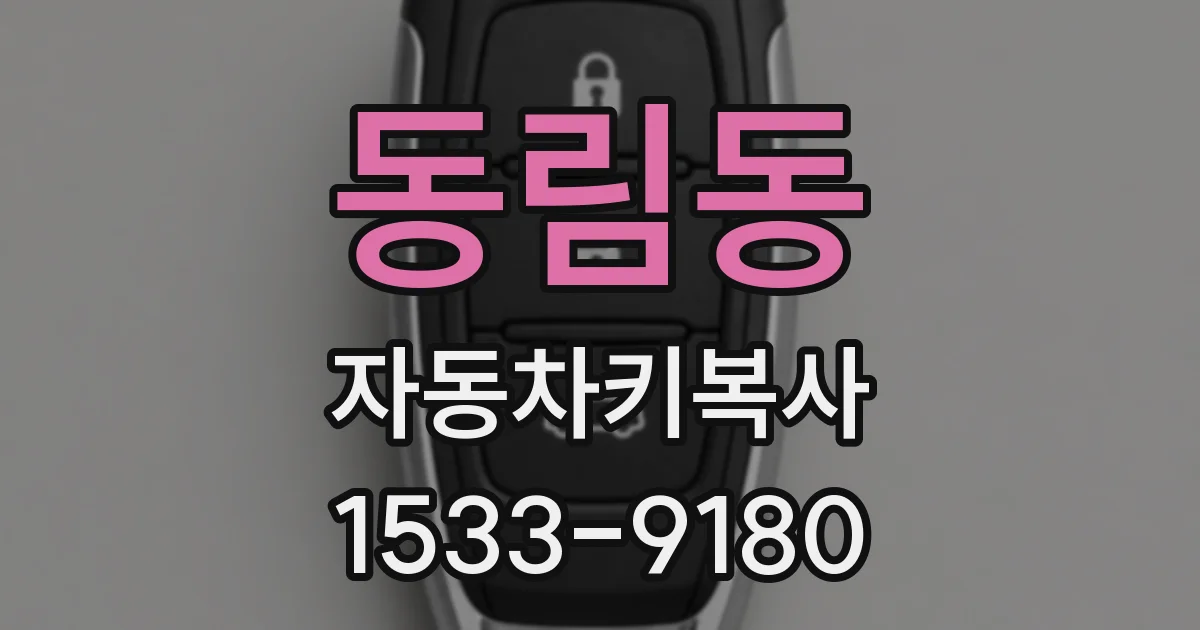 동림동 자동차키복사