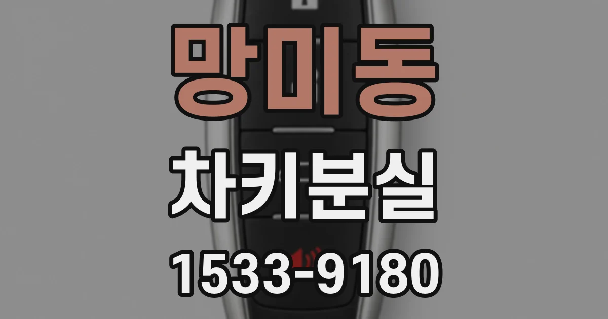 망미동 차키분실