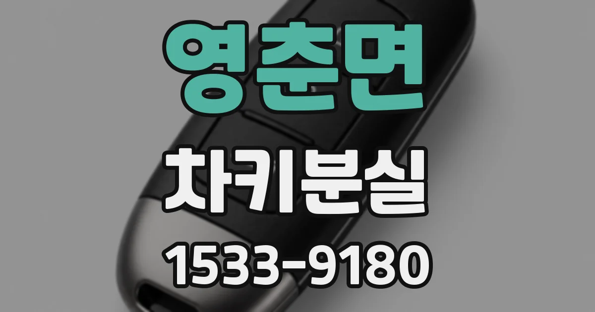 영춘면 차키분실