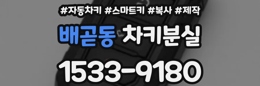 배곧동 차키분실