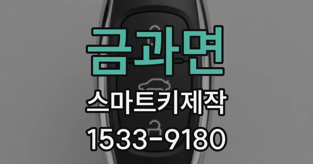 금과면 스마트키제작