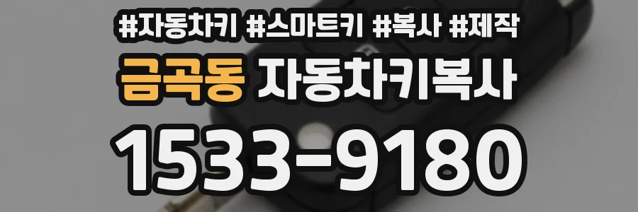 금곡동 자동차키복사
