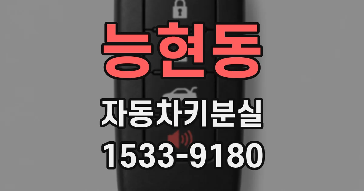 능현동 자동차키분실