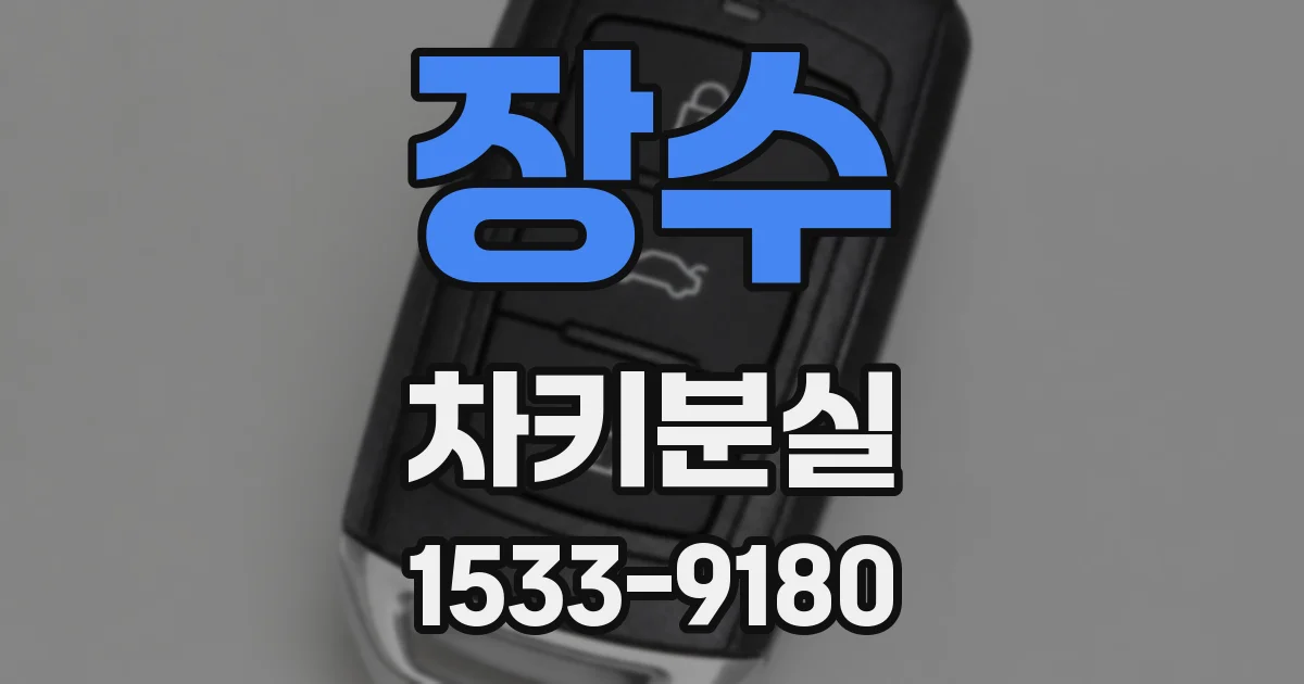 장수 차키분실