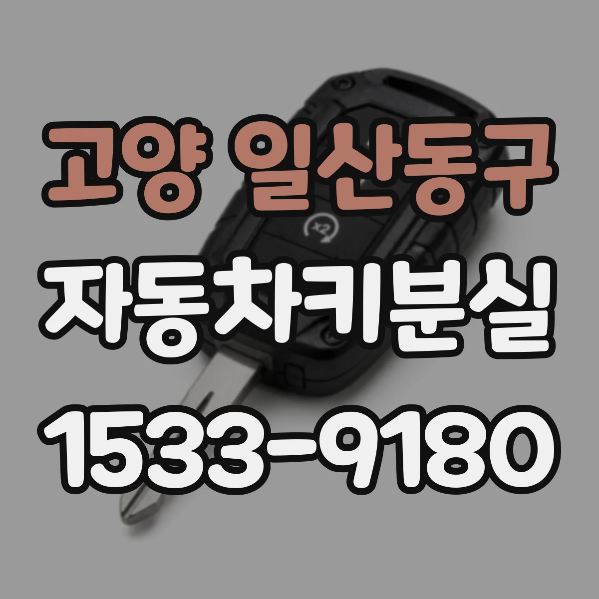 고양 일산동구 자동차키분실
