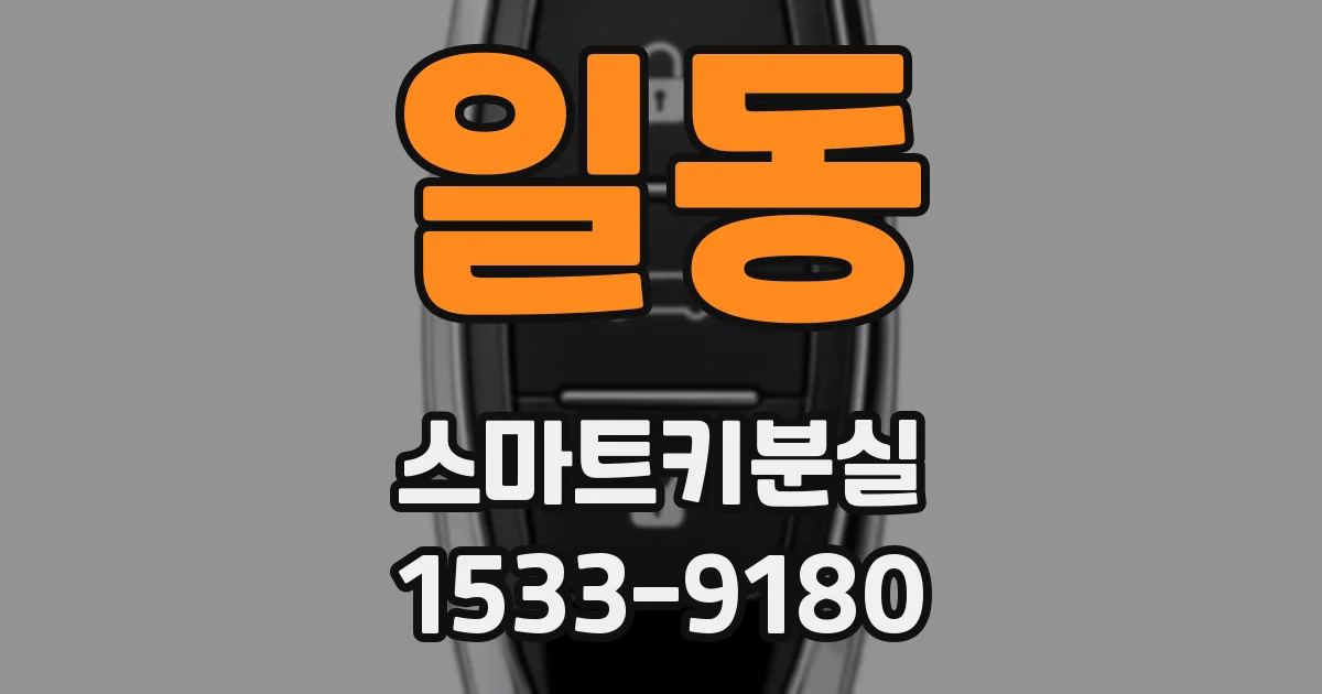 일동 스마트키분실