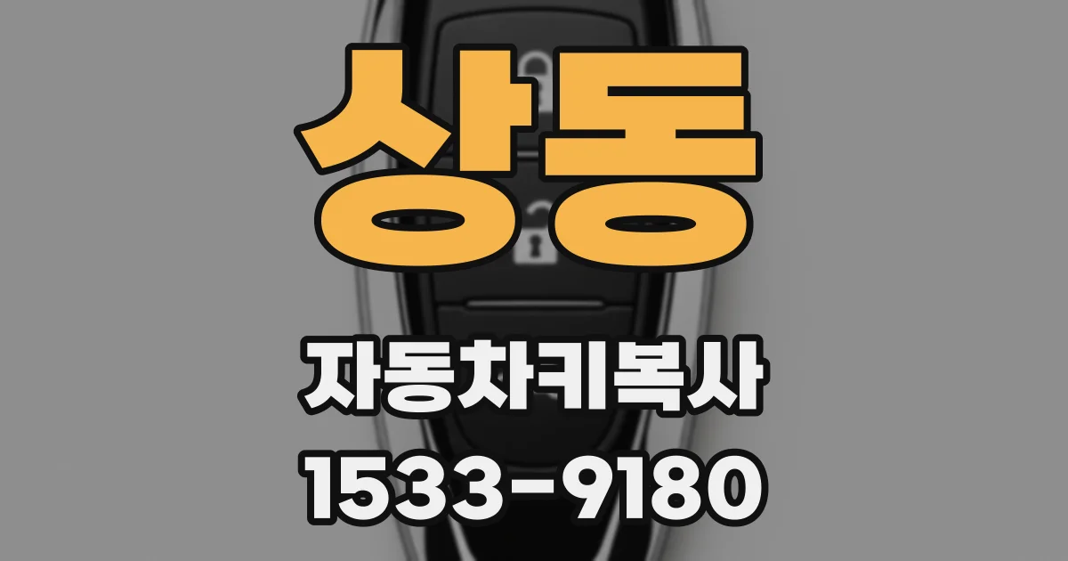 상동 자동차키복사