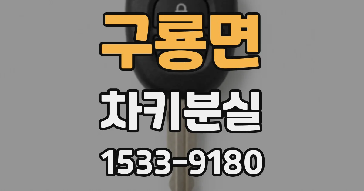 구룡면 차키분실