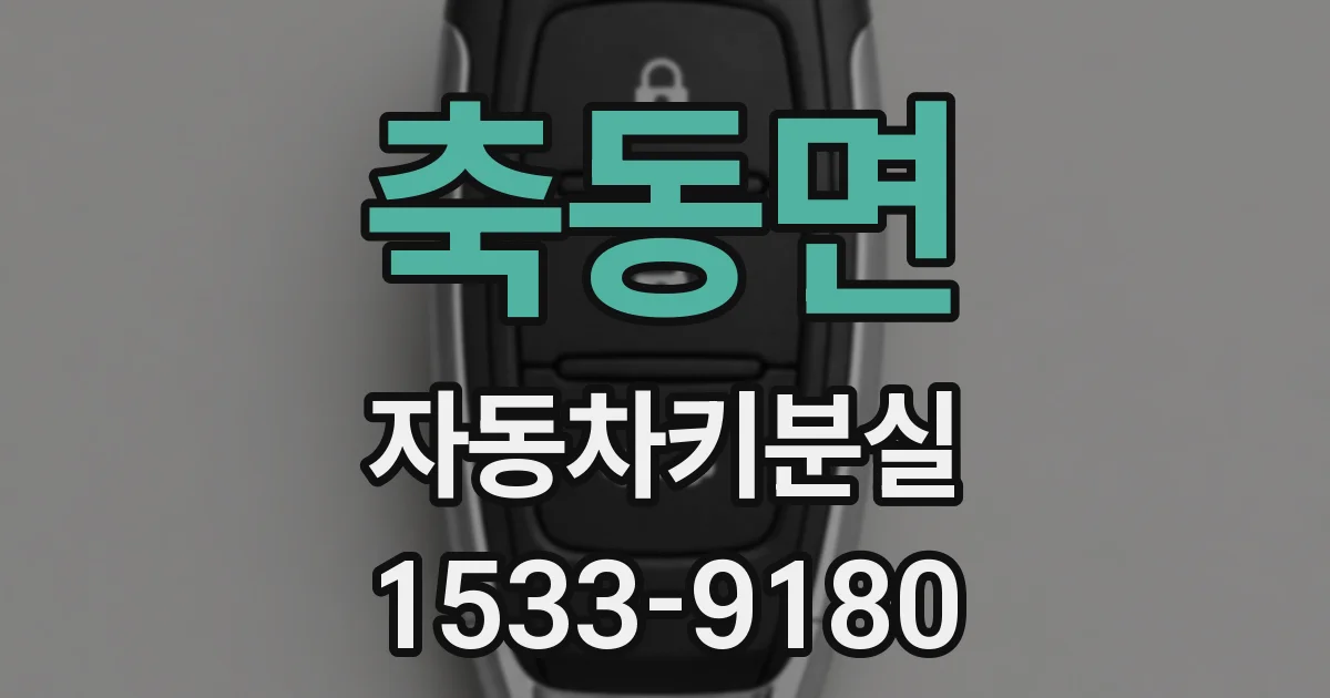 축동면 자동차키분실